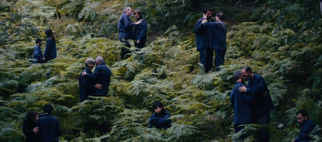 The Human Hibernation
