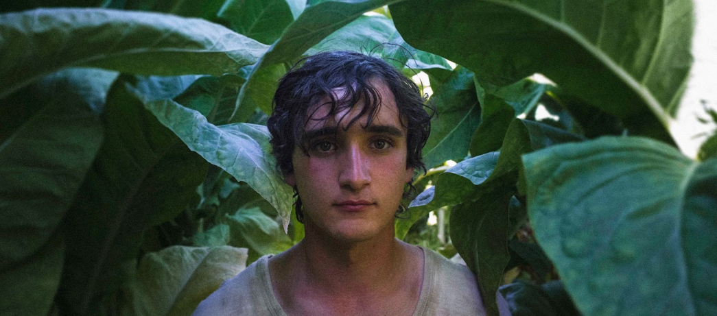 Lazzaro feliz
